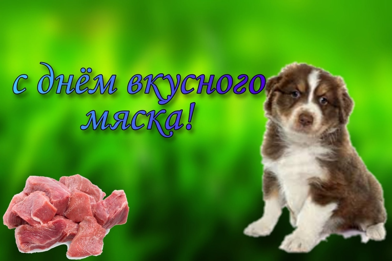 4sLbHvMbZSU.jpg?size=1280x853&quality=96