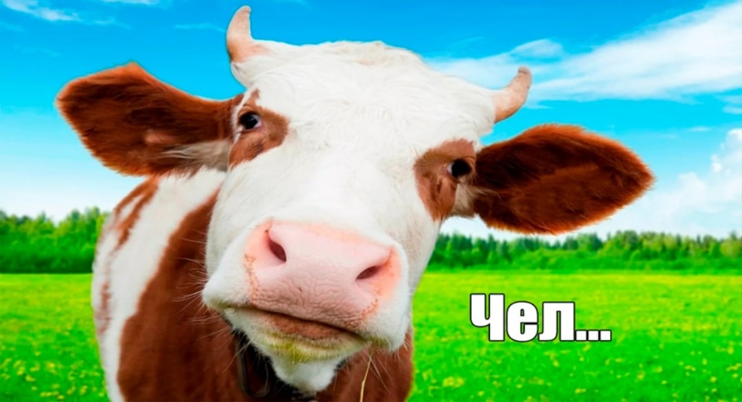 vv6cHyxLBSI.jpg?size=1080x585&quality=96