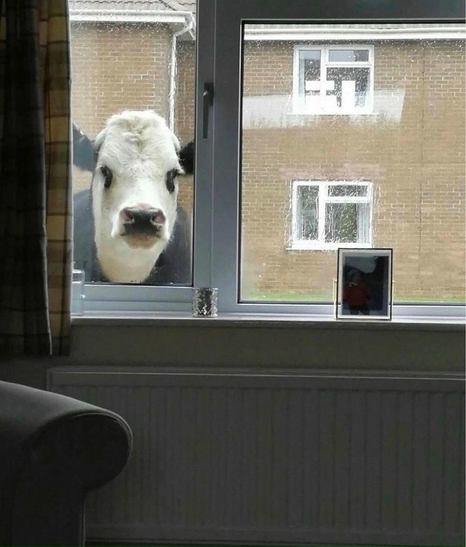 DmVrIvuDzOo.jpg?size=921x1080&quality=95