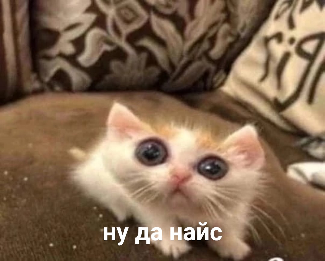 7YVCJksM3OE.jpg?size=1080x867&quality=96