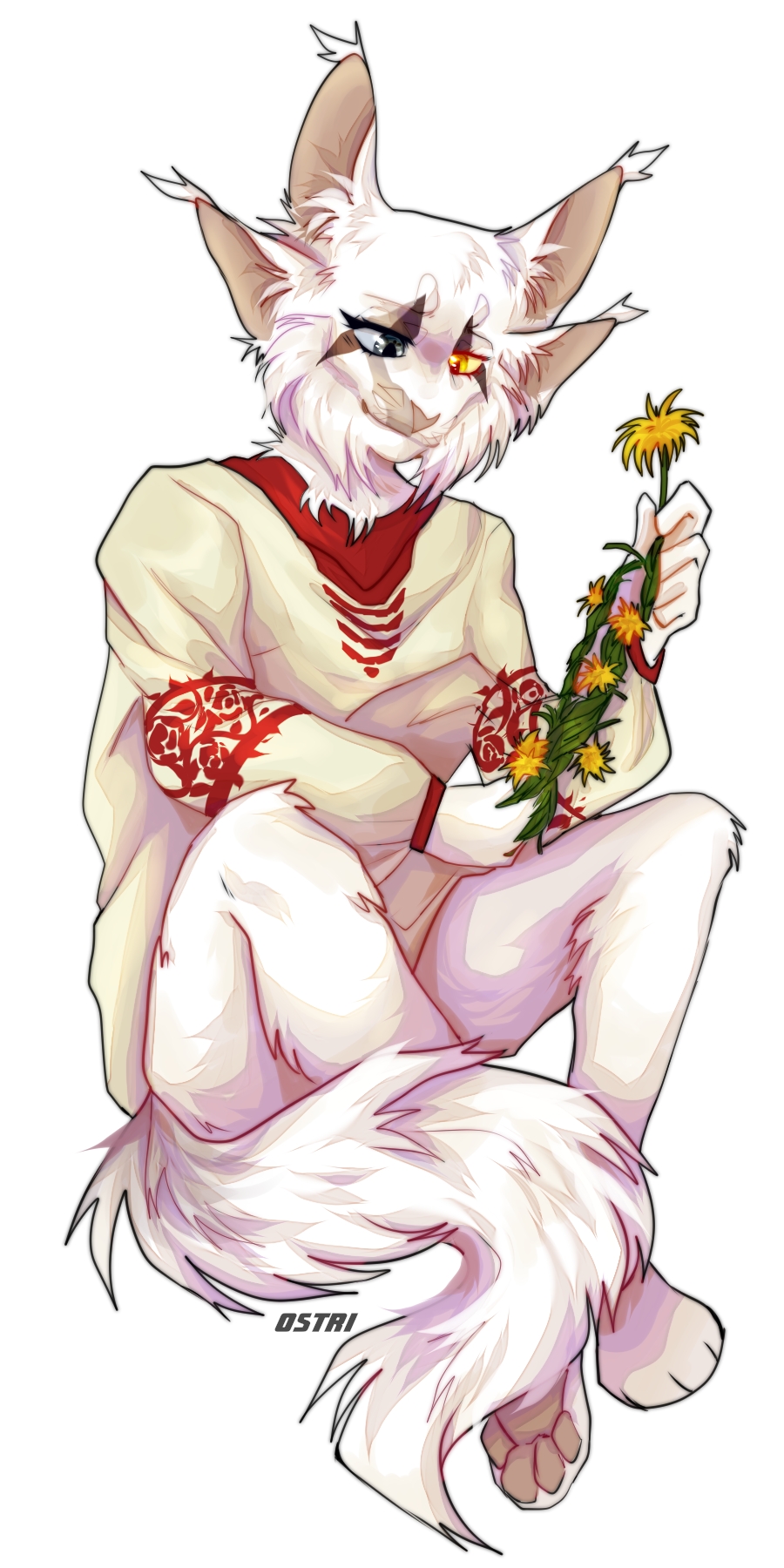 nsOWy-lG-zI.jpg?size=900x1800&quality=95