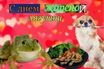 JOVuA1NAHz4.jpg?size=360x240&quality=95&