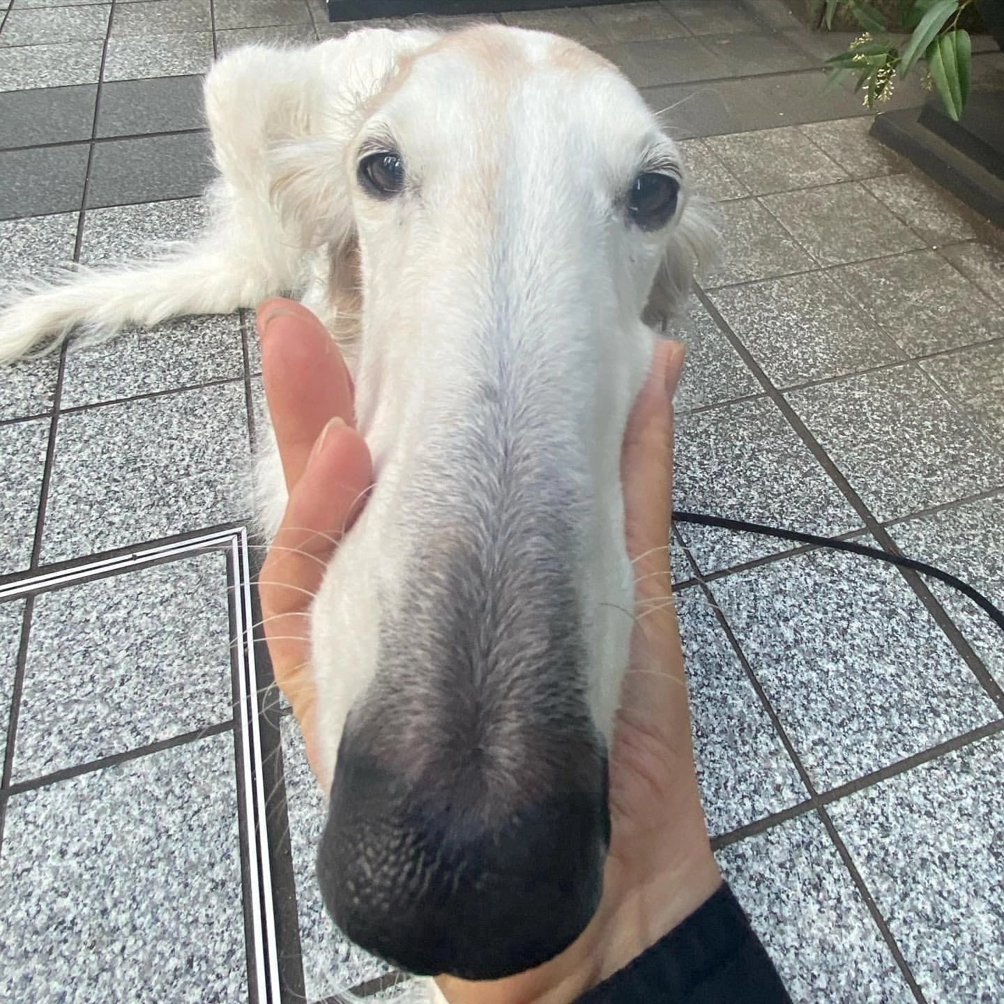 JJZjlqxL6R34Me3ejGpIbsq5oix9cQAb4GmQNuD1