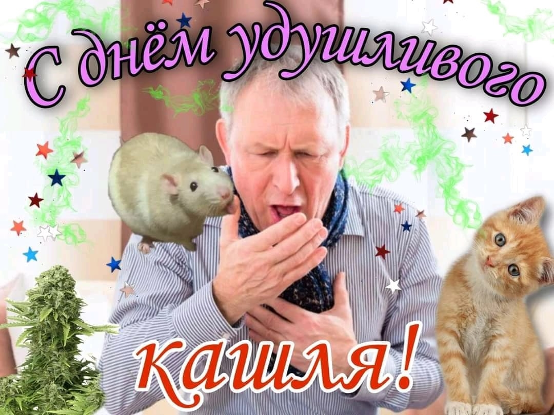 HHZr6AOnNVw.jpg?size=1080x810&quality=95