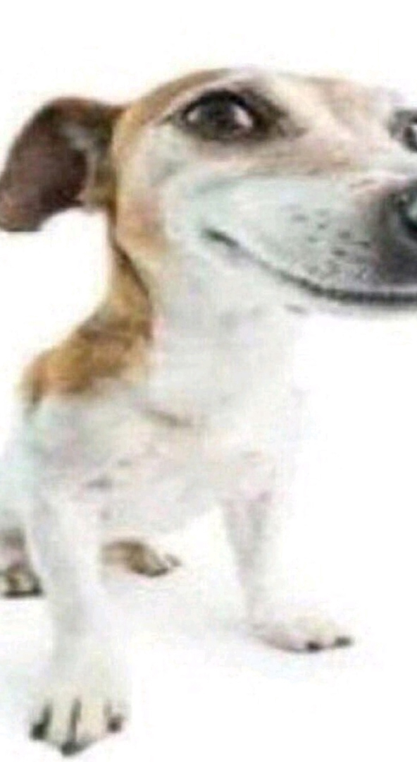 1x2f_XQ4u9E.jpg?size=592x1080&quality=95