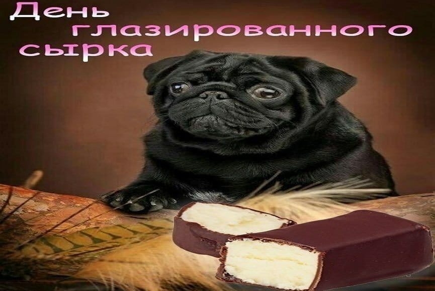 smtfiE7ahG8.jpg?size=865x578&quality=95&