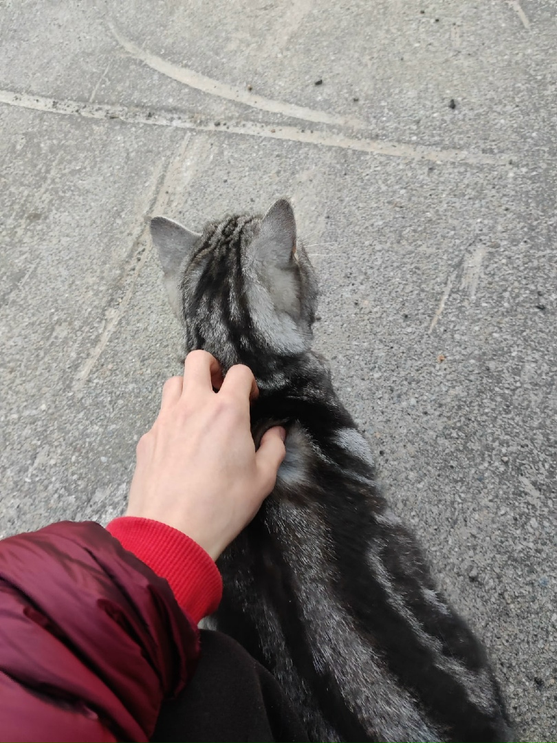 JfNrpRRHEl0.jpg?size=810x1080&quality=96