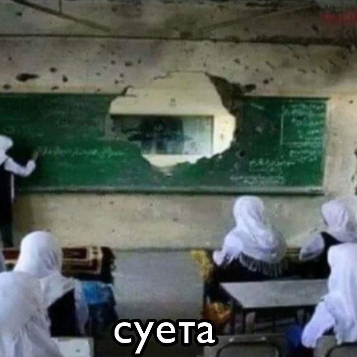 zXWrtX9rVPg.jpg?size=720x720&quality=96&