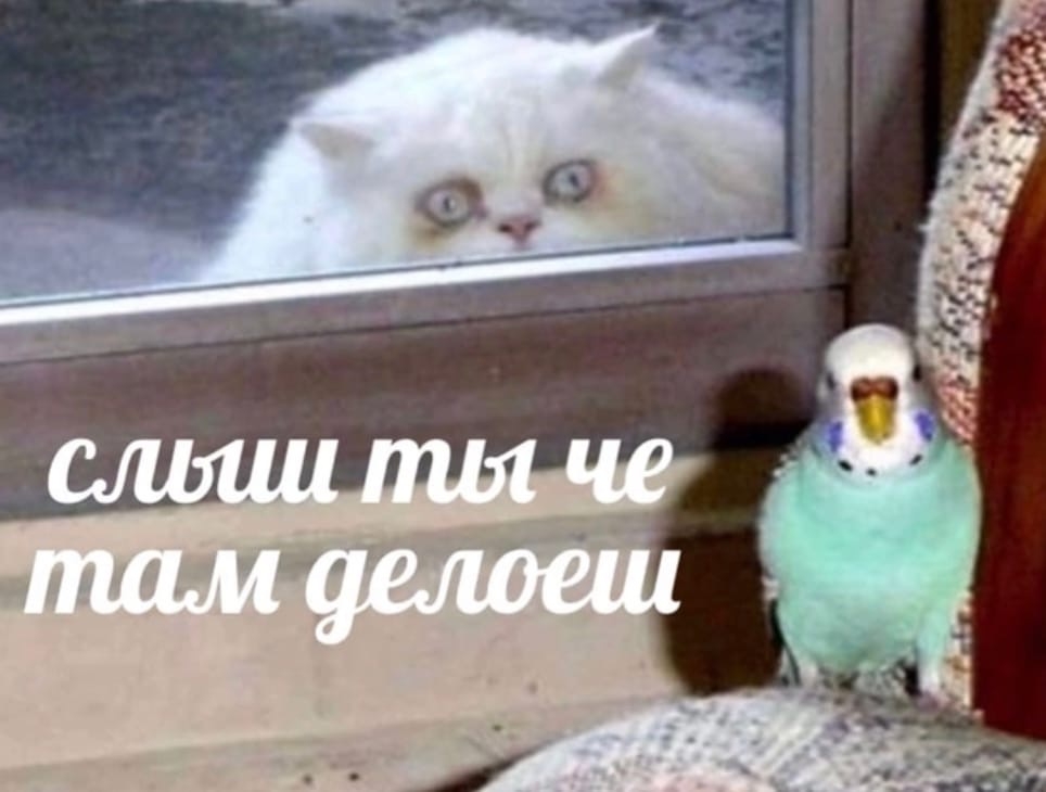 v0Z9BtbovHmgGUMw86PdQB1Svgt1fSAhZJ2uUk8f