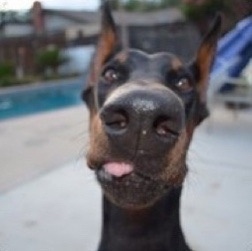 SbjlXvZoq3Ed_S08bzRTj7qtwVgXQN28CYwBqPMA