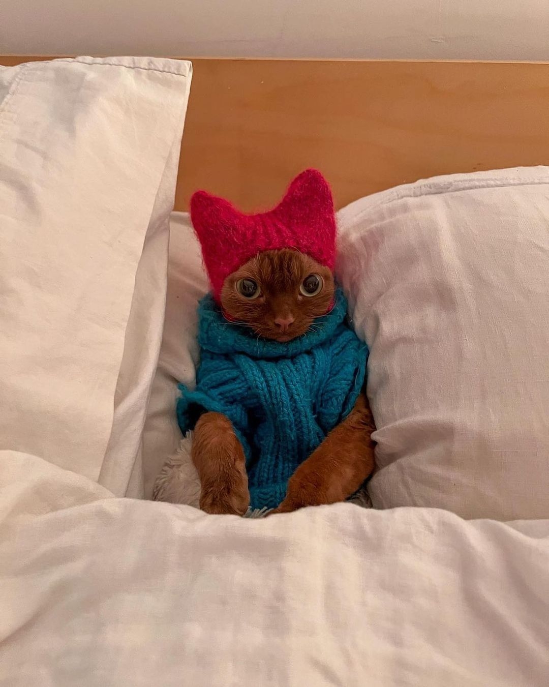 02g_4zjueXDELT4puuRdJuB3mB0upKkF-ecHydmq