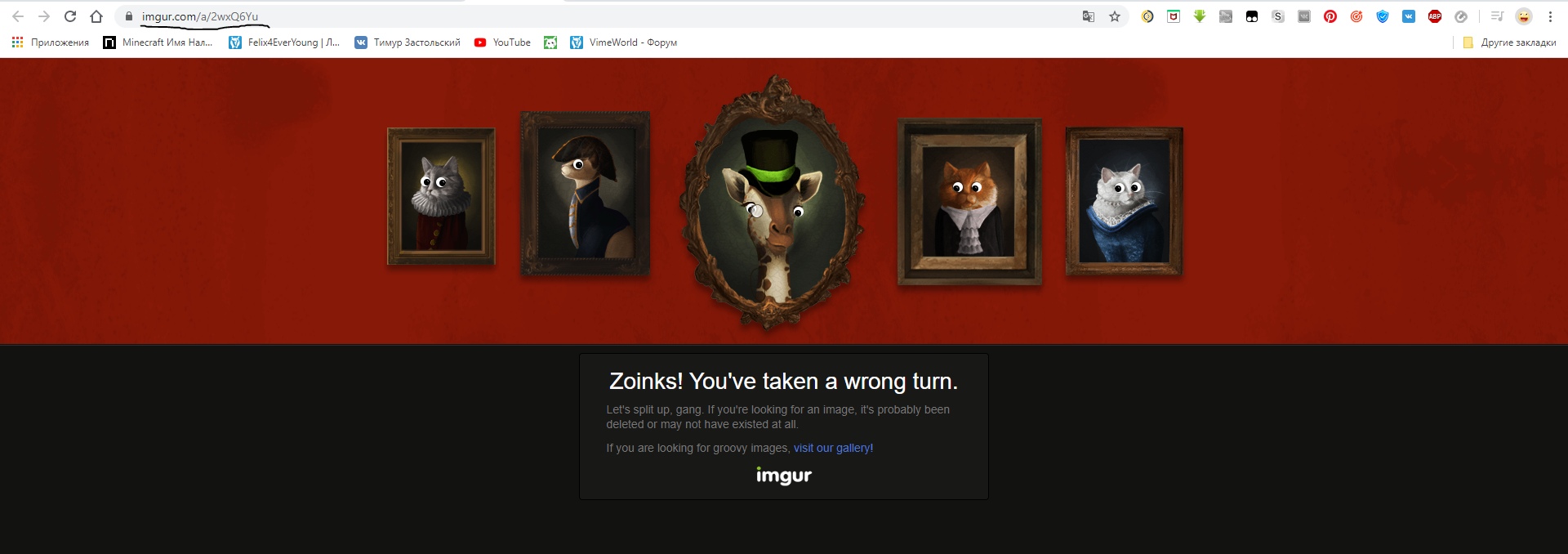 nNoQbgMzAEA.jpg