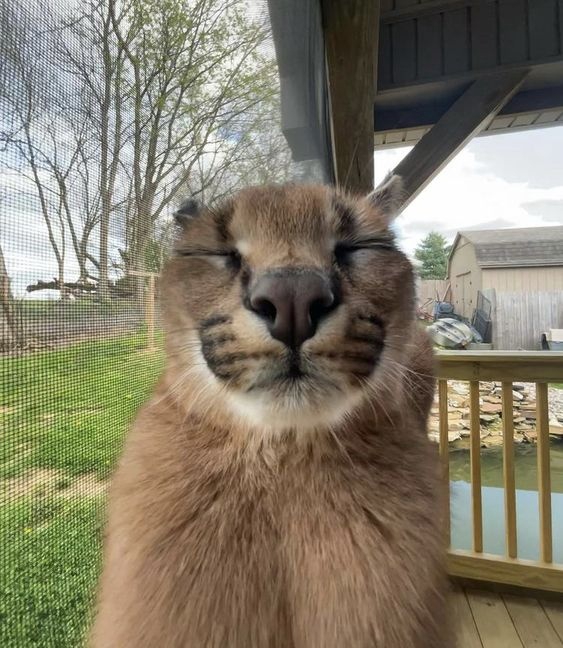 tvH326kExLaoymjG5JVyv-XYNGAWLDw-Q0Vq3dF2