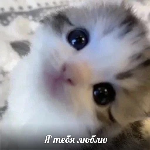 8ylVmyxcVKN5SNpyjJLofZA1U28vvSOxBJiDiBKO