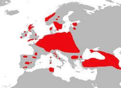 250px-Range_Map_Cervus_elaphus.png