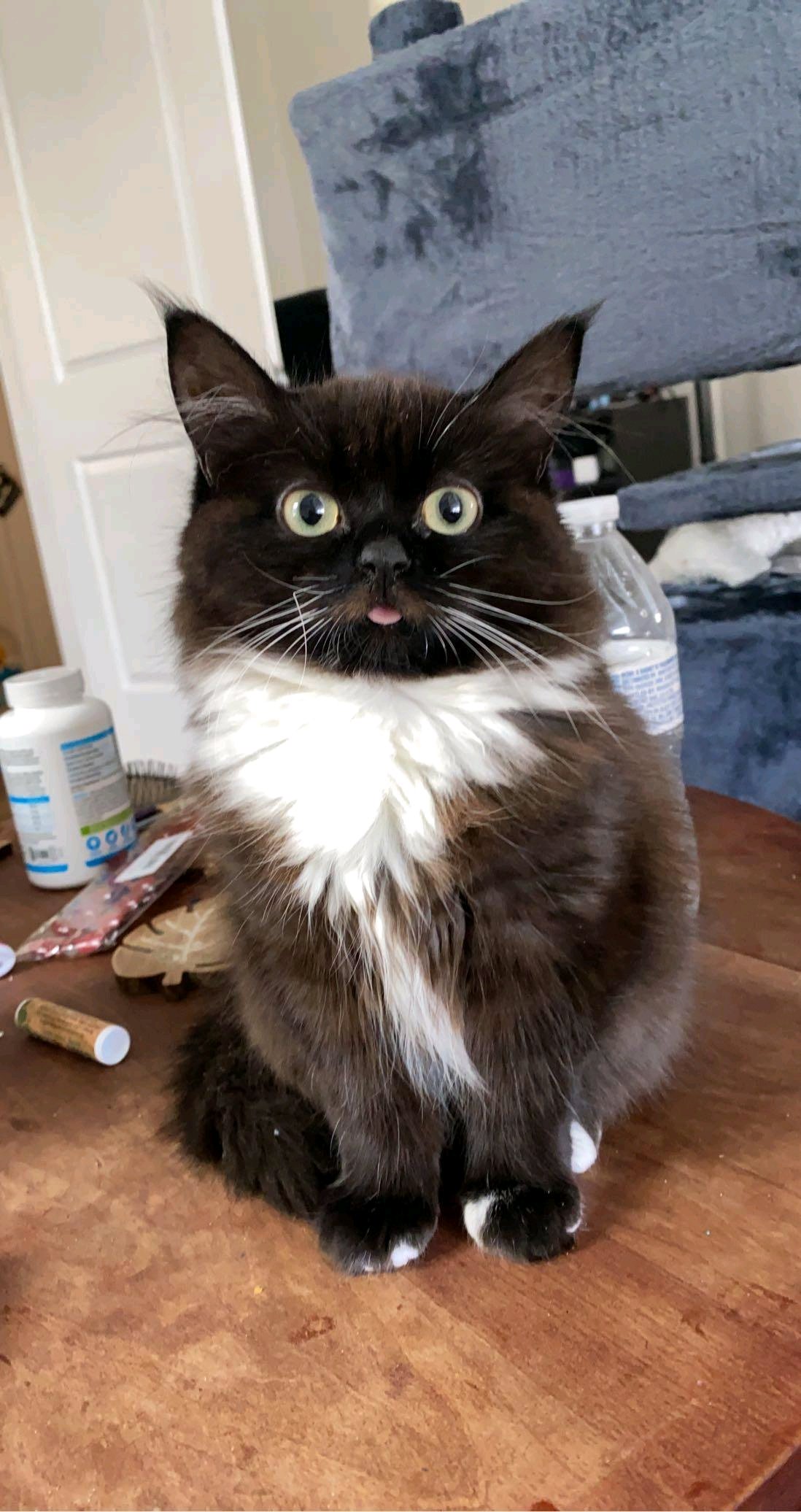 FU7nID831Kg.jpg?size=1098x2072&quality=9