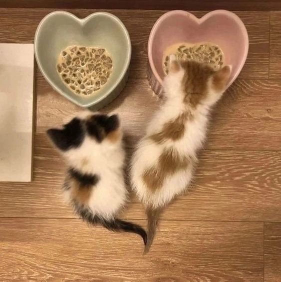 G7tDrApummM.jpg?size=563x564&quality=96&