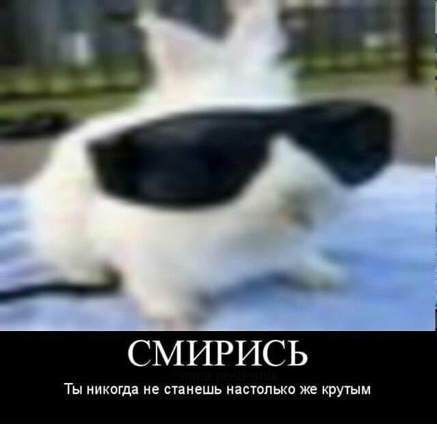 FFDb79IuMlY.jpg?size=639x620&quality=96&