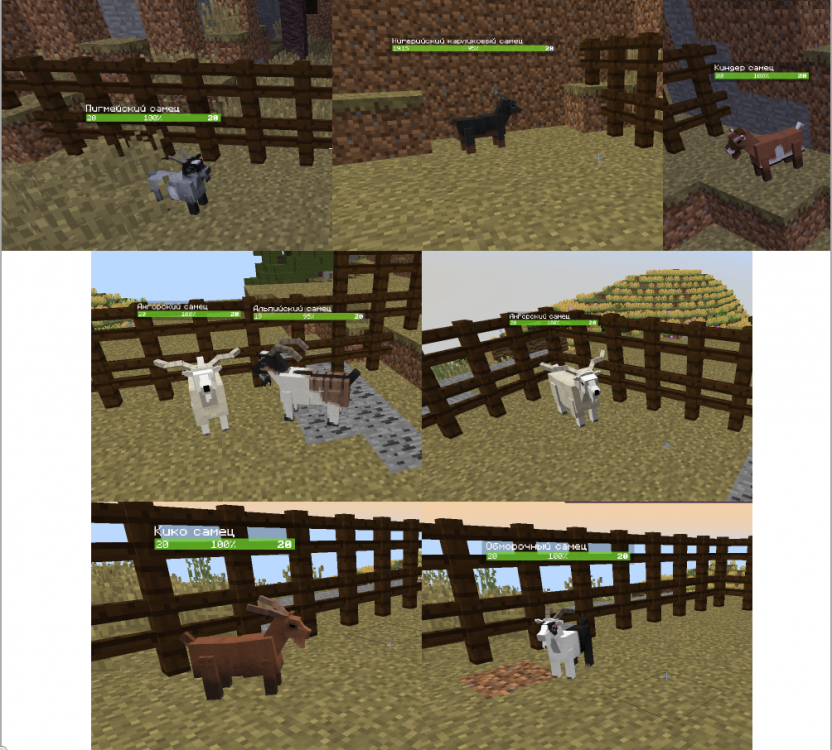 image.thumb.png.476e6e6ae711e72babbe9eb7