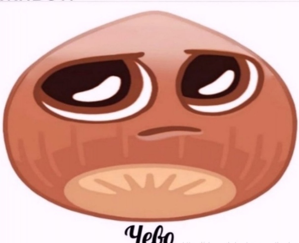 _QfvAgH8oxY.jpg