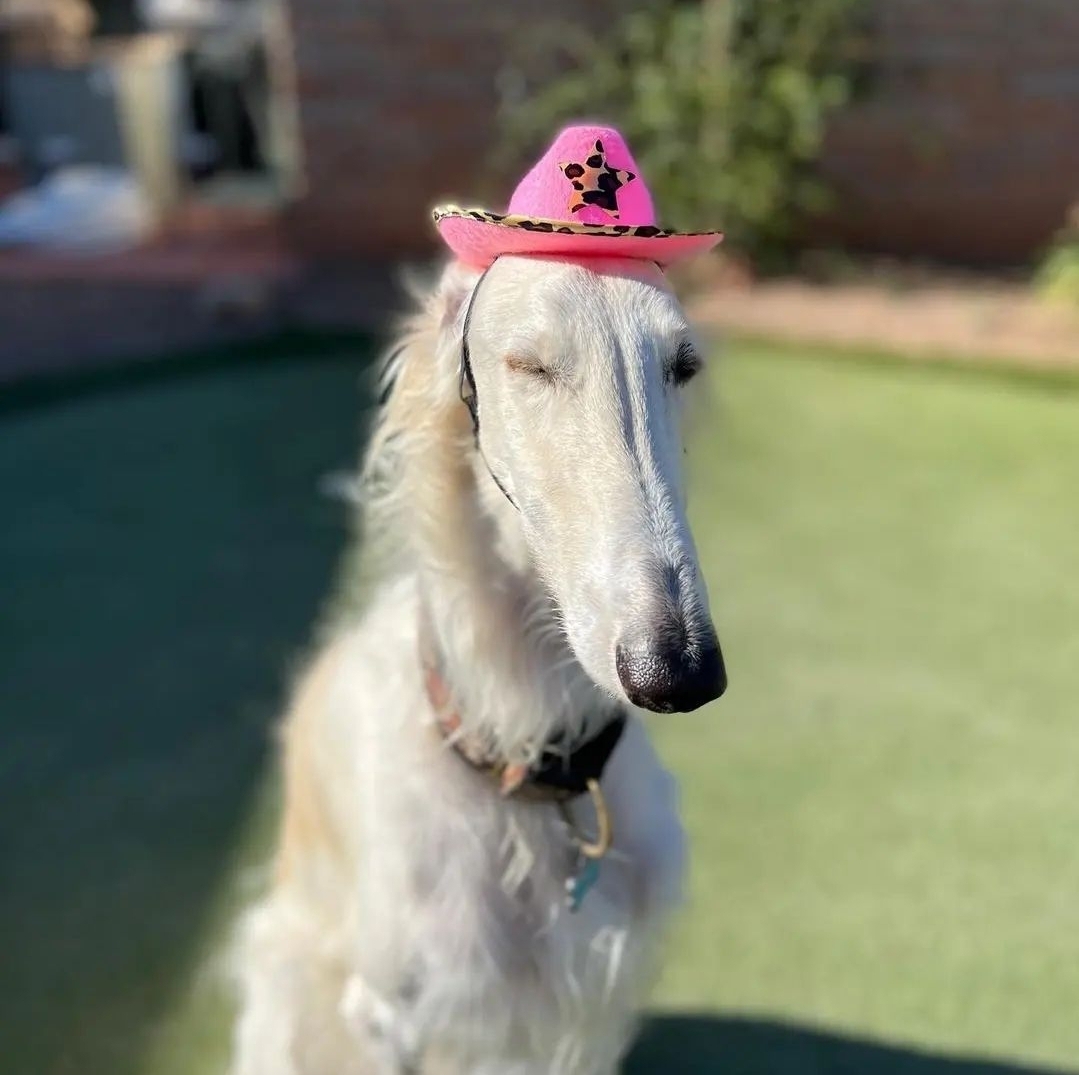 pV24bPbNieS4on8mgtTSlxNEOdcjD0bGdlfGFYnZ