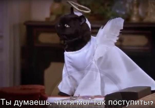 vodgnftLYzU.jpg