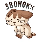 FTb2D9UxjAA.jpg?size=138x141&quality=96&