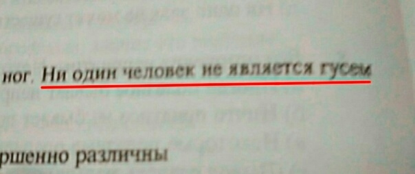 4BETVf3ftYs.jpg?size=604x254&quality=96&