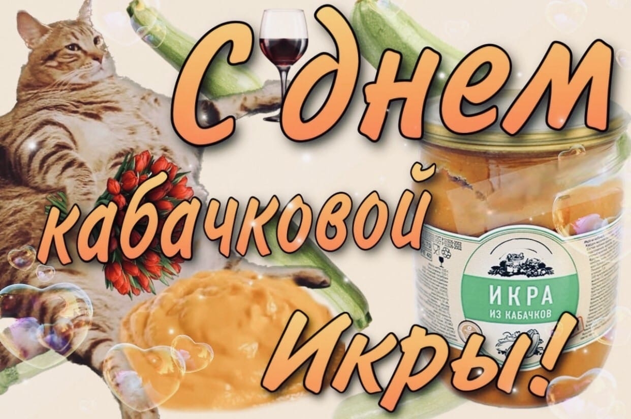 k4t2TjaVY64.jpg?size=1242x826&quality=95