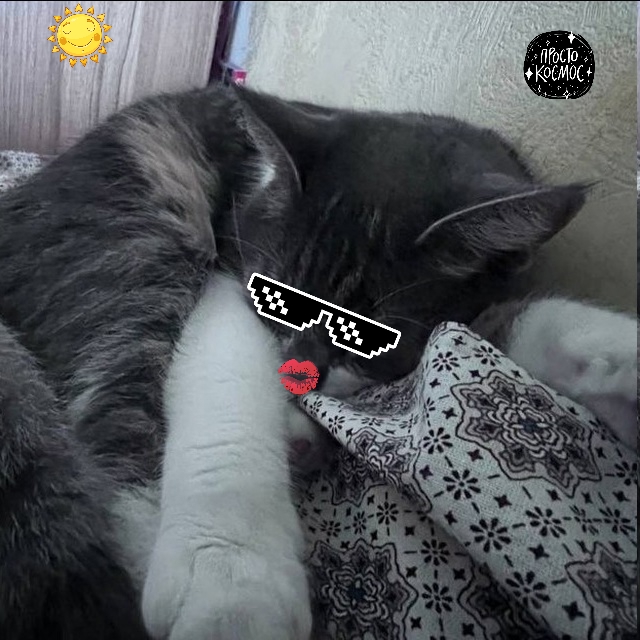 Udm7egjMqZYP_Tzwd3hyiWVV2gdjiQnPFXC9MPJT