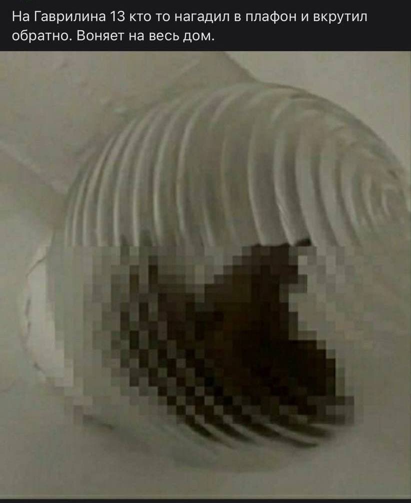 50GrnD9NnTk.jpg?size=822x1006&quality=96