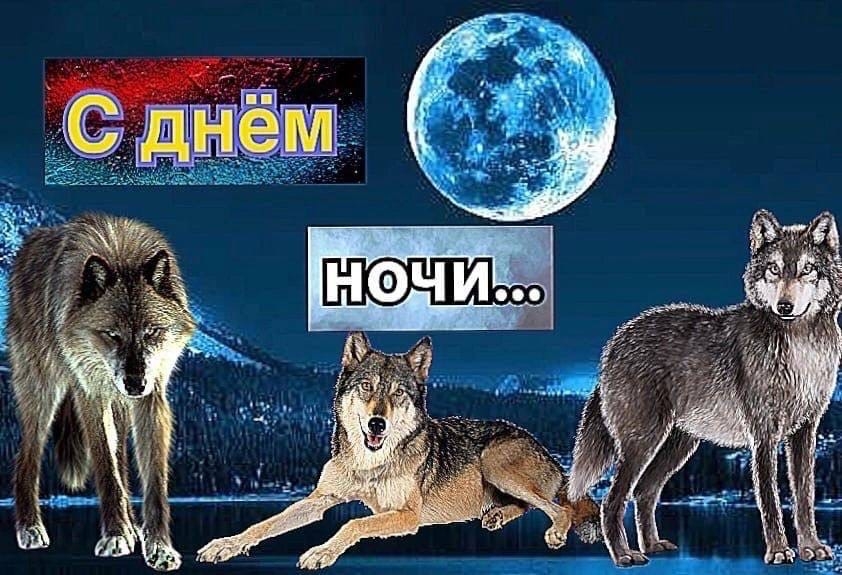 yzsbVSqHd_c.jpg?size=842x575&quality=95&