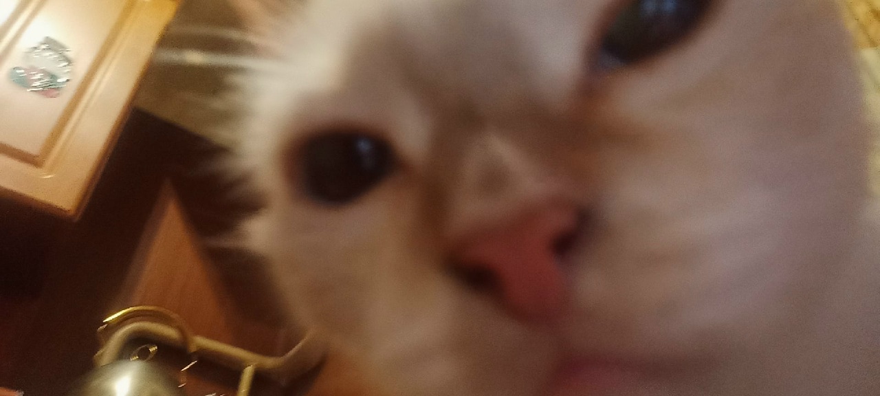 CA0jAk13bNA.jpg?size=1280x576&quality=96