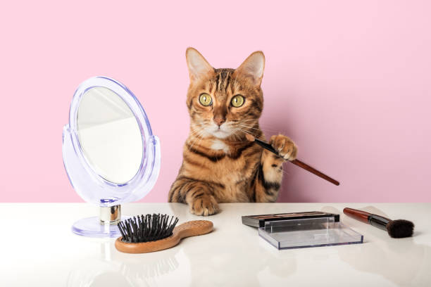 %D0%B3%D0%BB%D0%B0%D0%BC%D1%83%D1%80%D0%