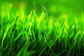 _xnAei6IjlpAuv7NuwUJTJU_ttVVYYT4c1cL_Iwx