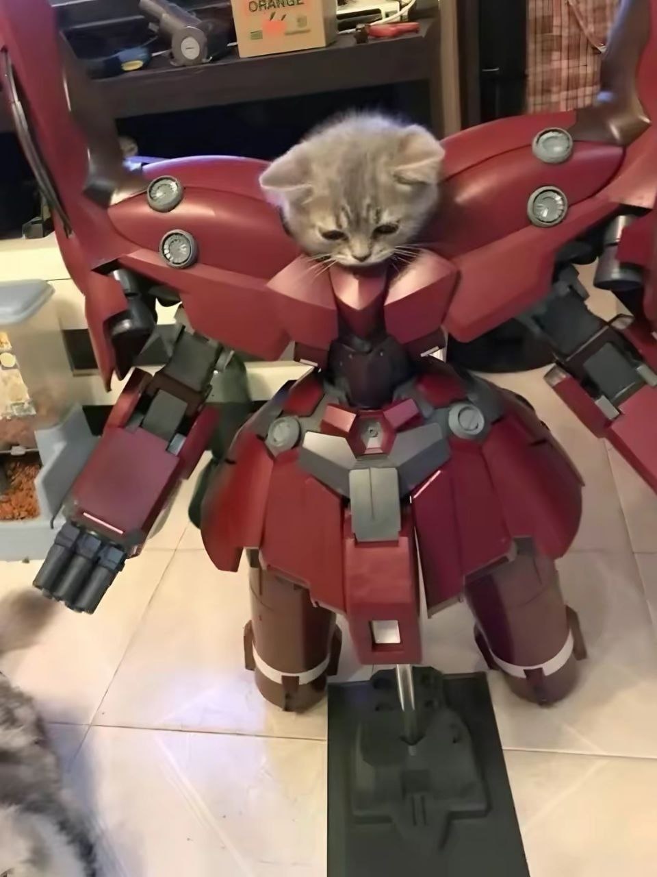 U3m7NDqJWz4.jpg?size=960x1280&quality=96