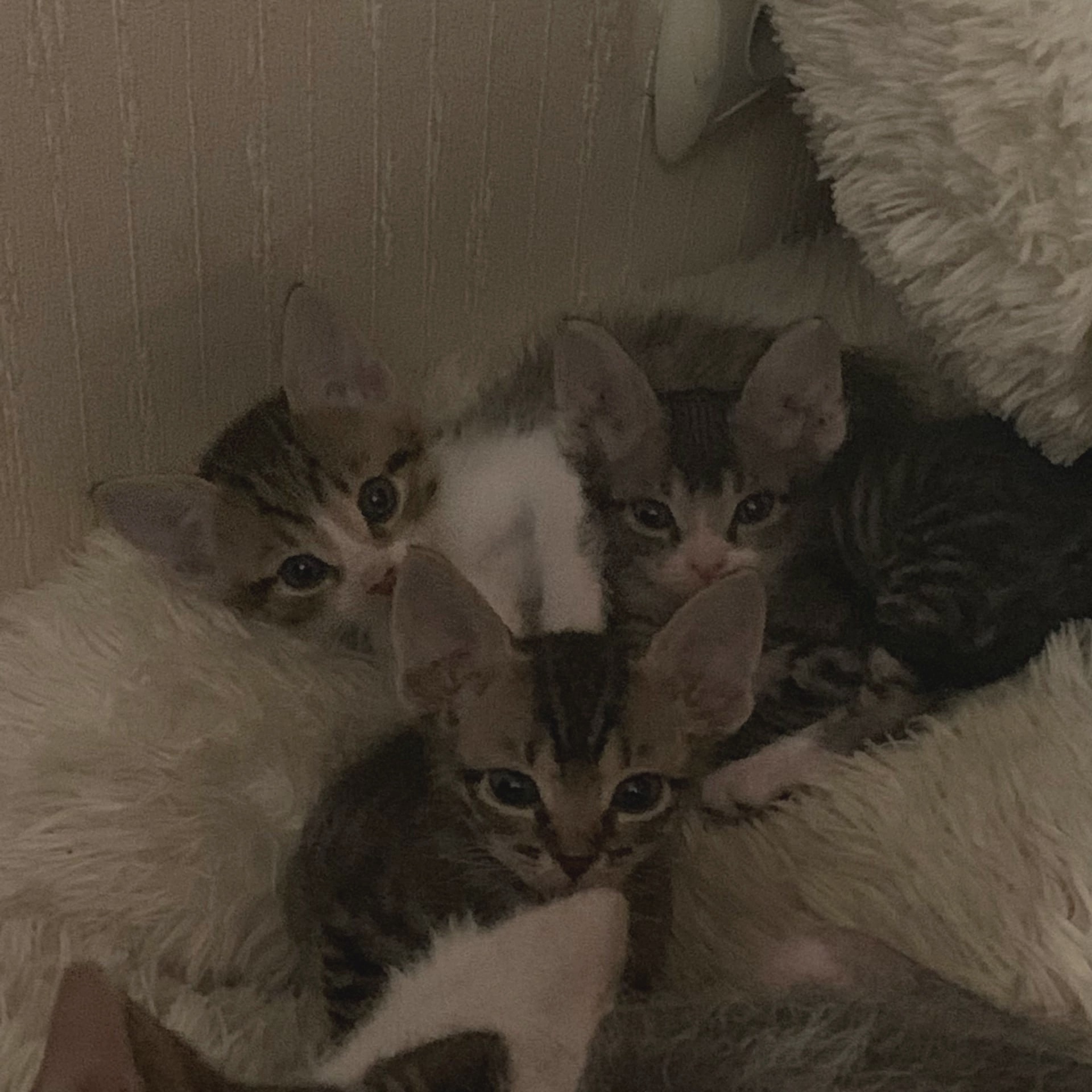 7Sk-1sQ75d4.jpg?size=1920x1920&quality=9