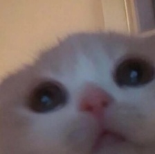 yi1LBww9ZG2crhlJiTwVoGDOY3rgzLiPD39xXnSI