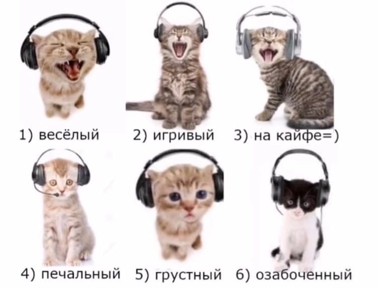 2L3vfzqqFOI.jpg?size=750x572&quality=96&