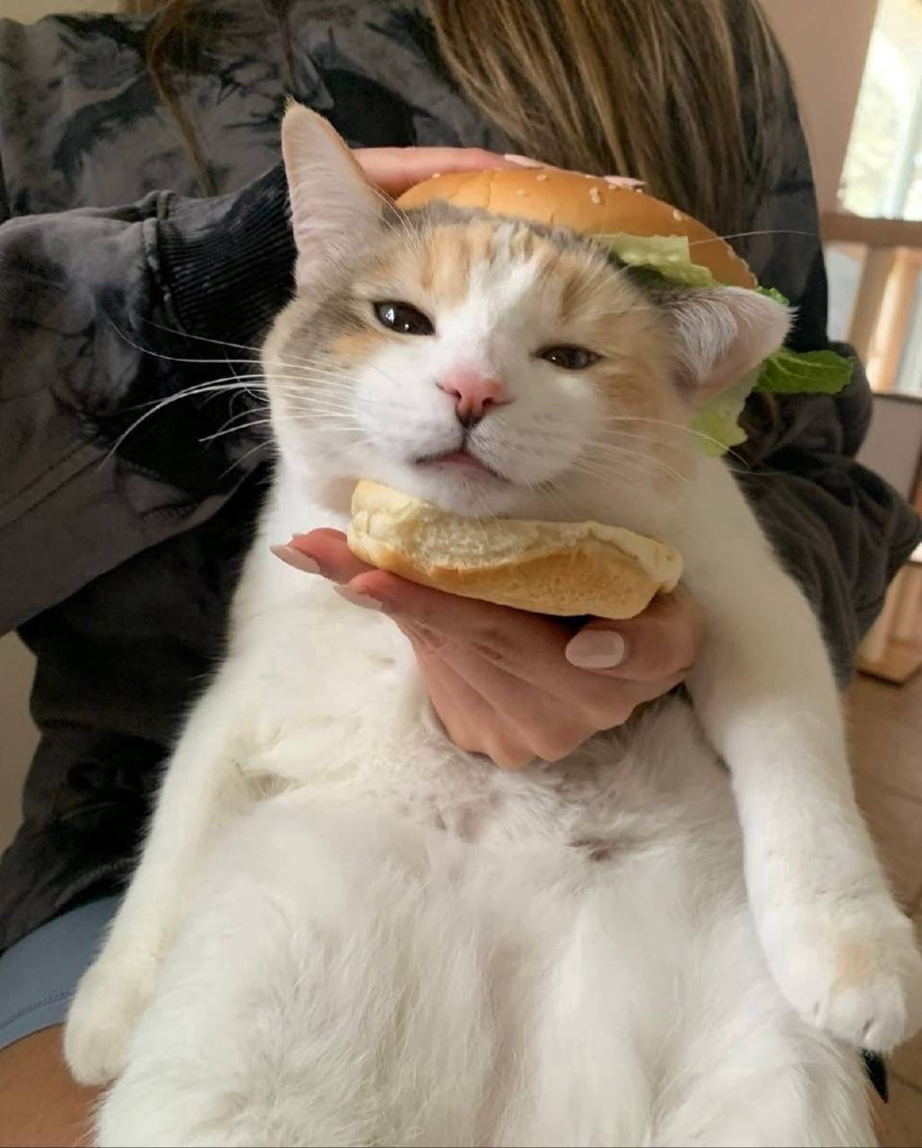 k5M6aZtR3IpWfWH153HXD1xLRU4ZCM6oohS4BL54