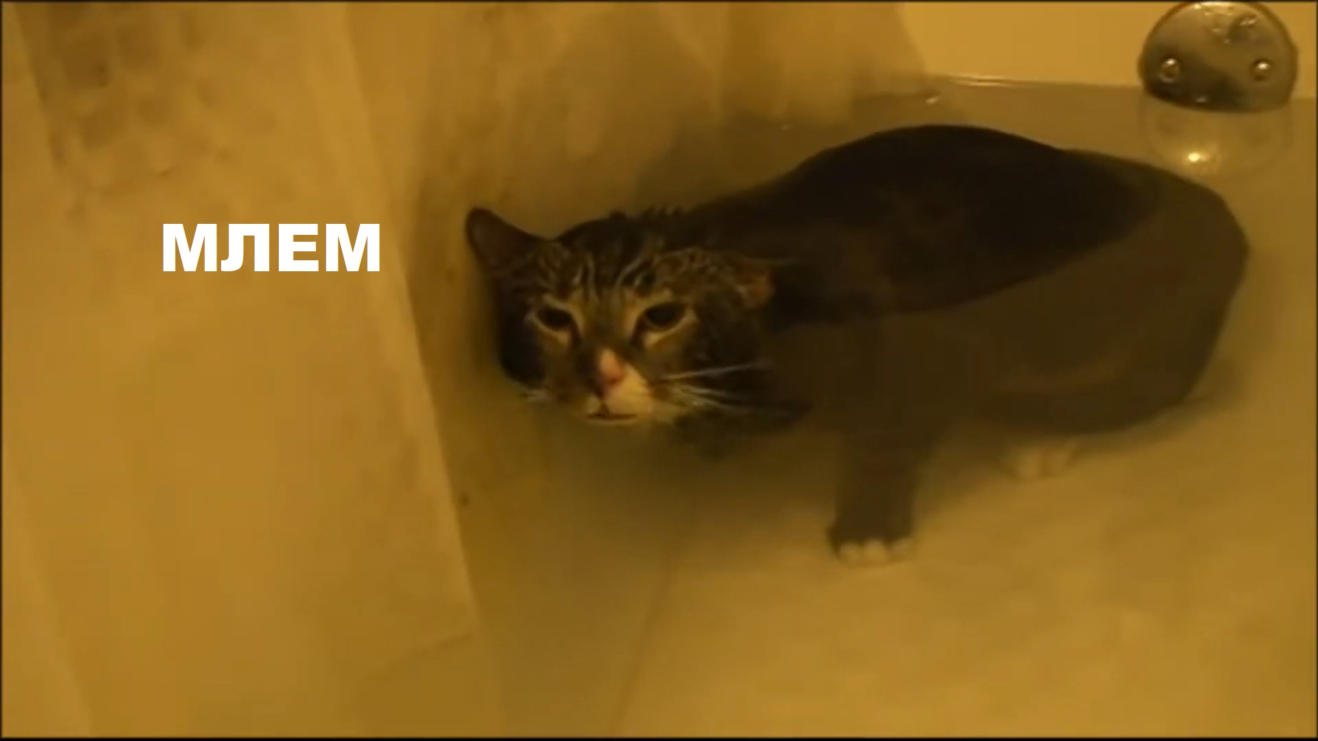 BG_fxfegPKM.jpg?size=1919x1079&quality=9