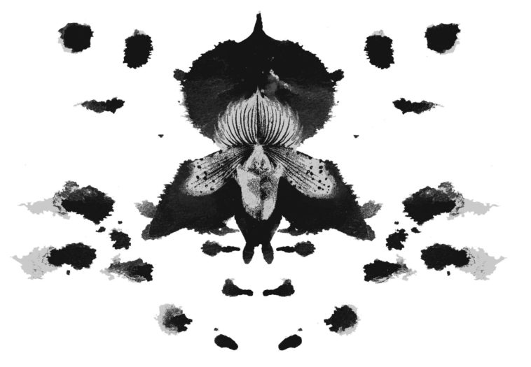 ink-blot-orchid-3-4-758x525.jpg
