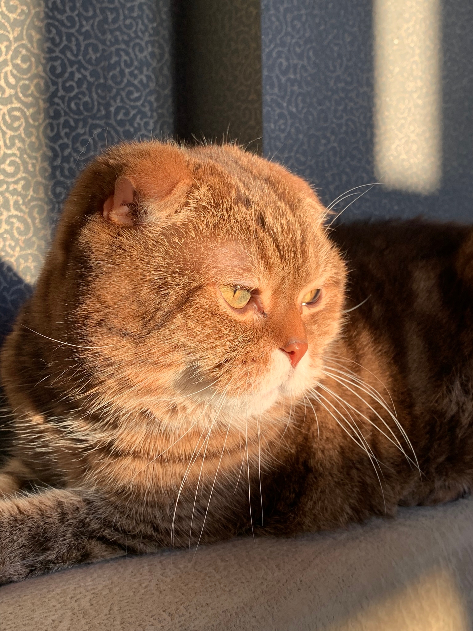 gwMChJZe_Mo.jpg?size=1536x2048&quality=9