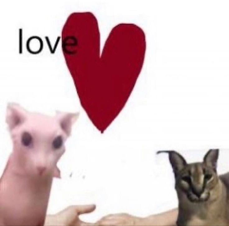 rGHCpE4ORzc.jpg?size=736x727&quality=95&