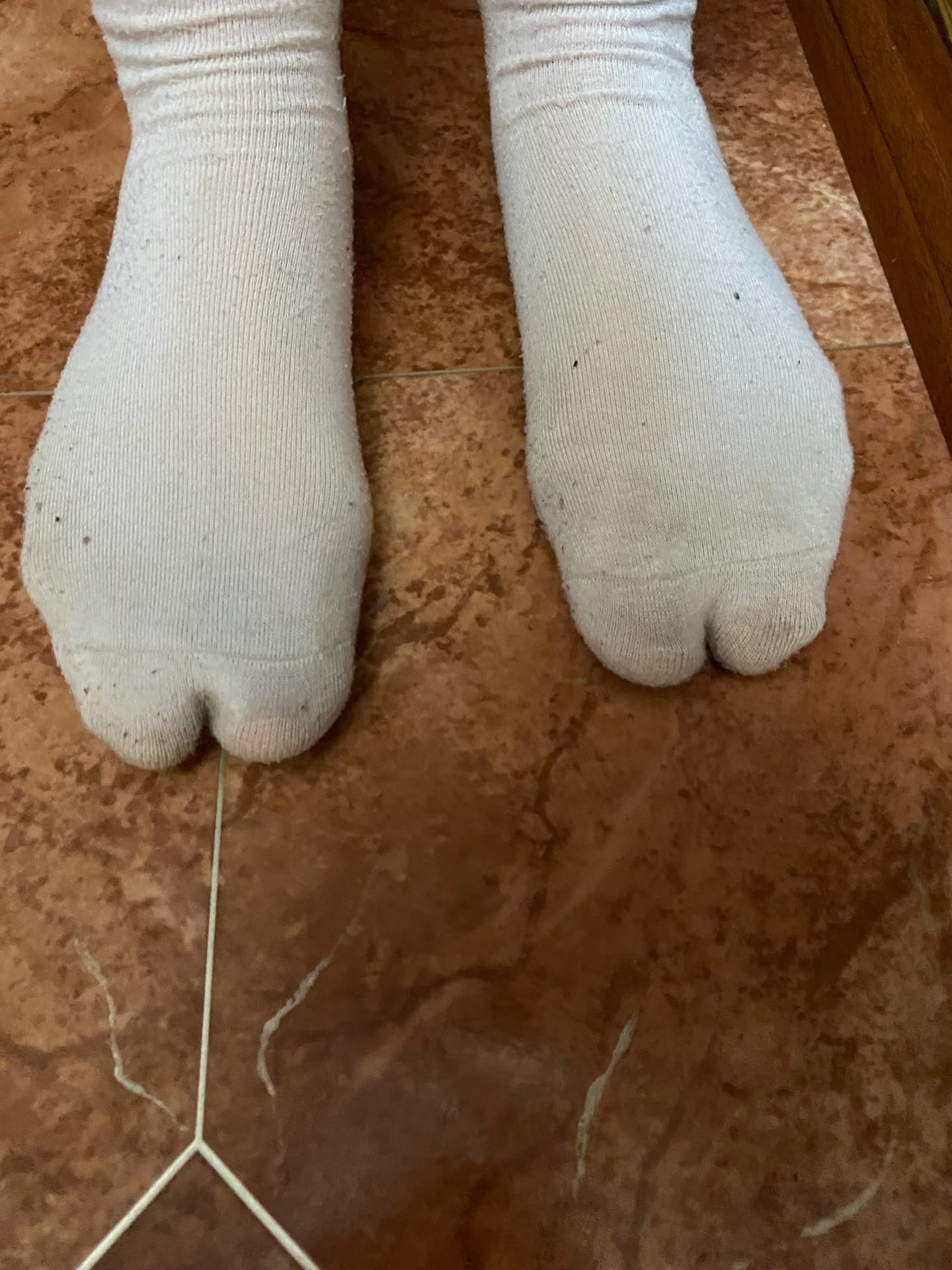 SeJspRNa9_8.jpg?size=1440x1920&quality=9