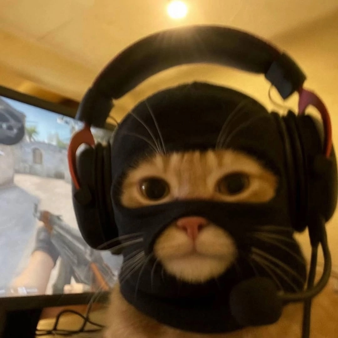 WcRASj3yav8.jpg?size=1080x1080&quality=9