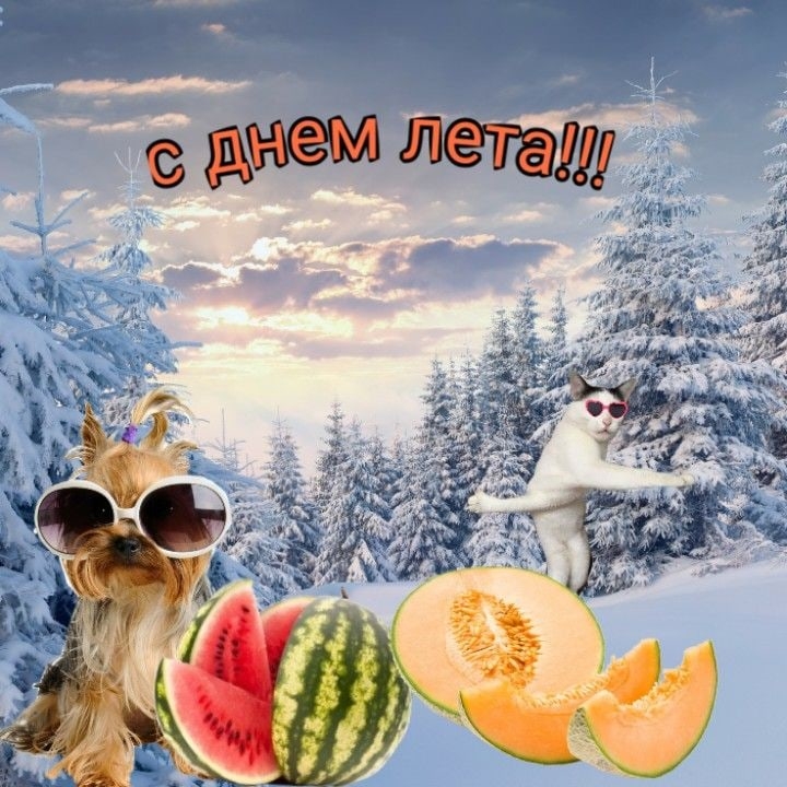 M0f5d49A7YI.jpg?size=720x720&quality=95&