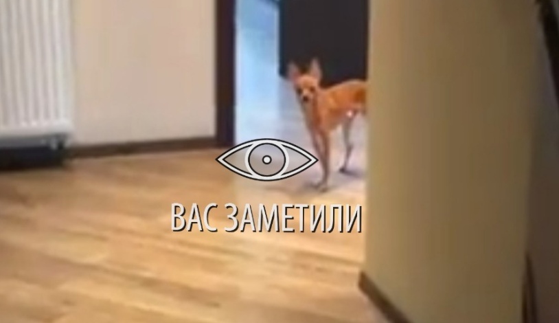 GzuOhiP632o.jpg?size=814x470&quality=96&