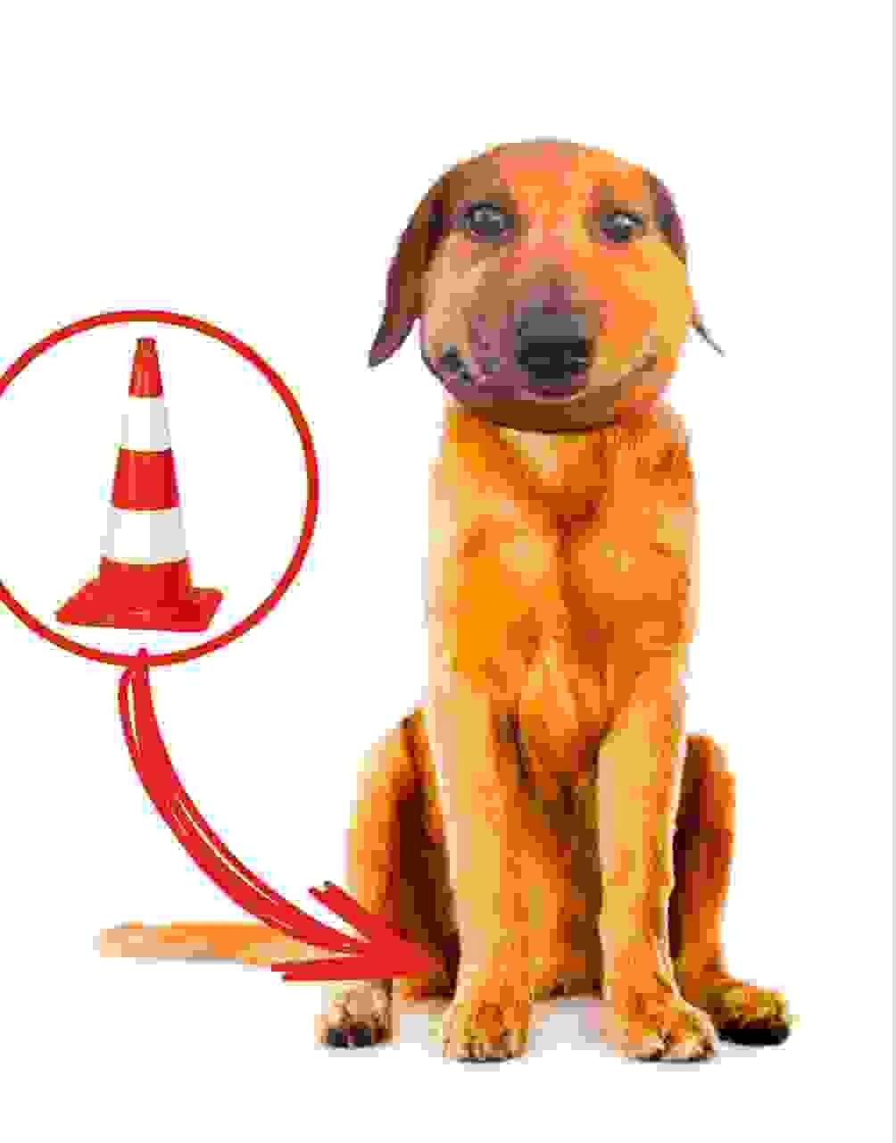 tMr1OM4woUrxjhQTLjdv3JA_u5X3e_NsViaJ40ji