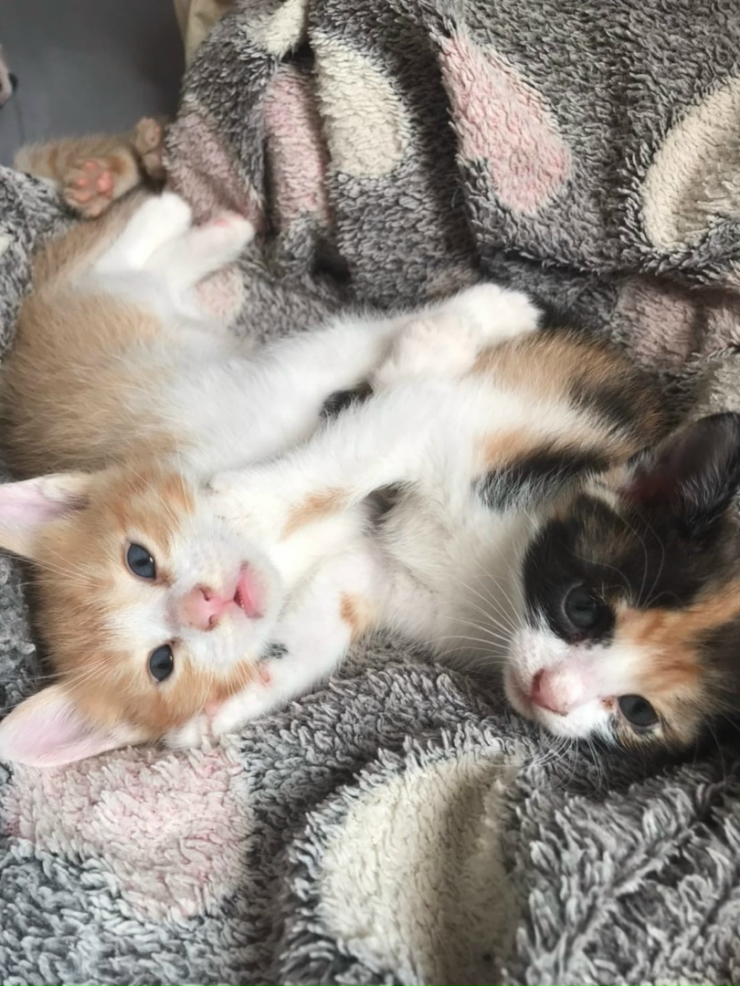 bumAi5iuHMw.jpg?size=810x1080&quality=95